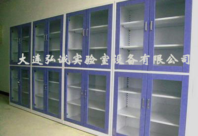 黄南药品试剂柜样式